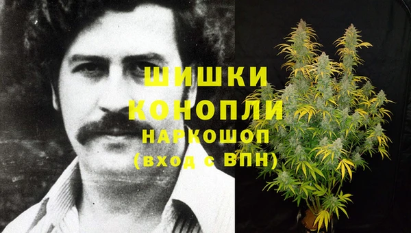 apvp Тында