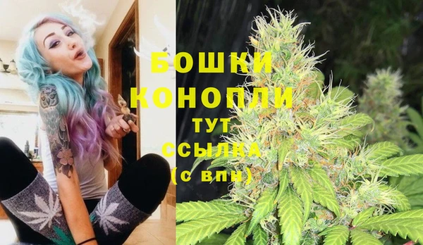 экстази Горняк