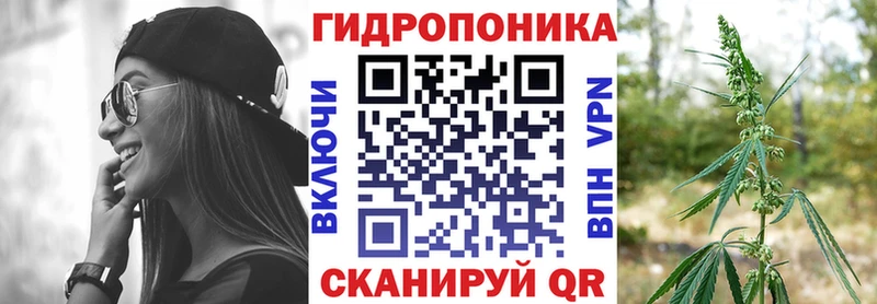 Бошки марихуана Amnesia Дорогобуж