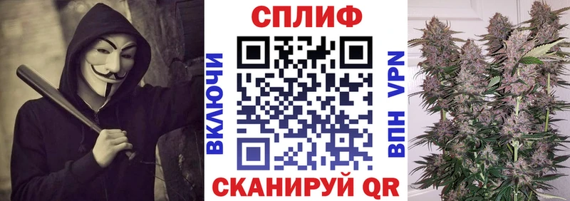 Каннабис планчик  цена   МЕГА зеркало  Дорогобуж 